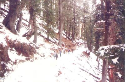 Trail to Hatu Peak